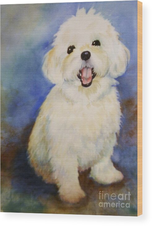 Maltese Dog Wood Print featuring the painting Maltese Named Ben by Marilyn Jacobson