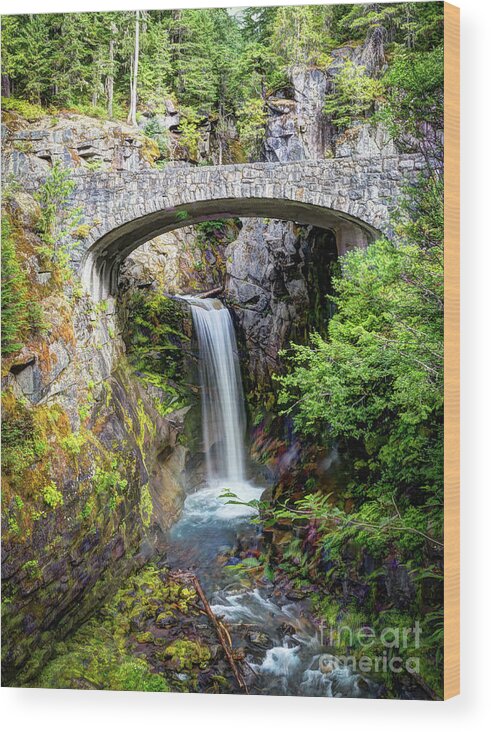 Nature Wood Print featuring the photograph Mt Rainier National Park, Christine Falls by Deborah Klubertanz