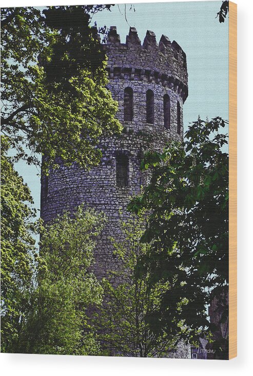 Nenagh Wood Print featuring the painting Nenagh Castle Ireland by Teresa Mucha