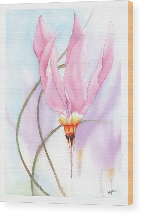 Dodecatheon Wood Print featuring the painting New Star by Hilda Wagner