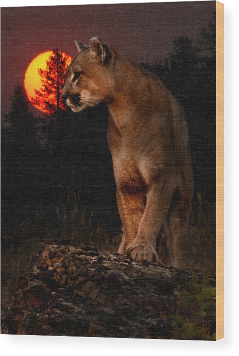 Cougar Wood Print featuring the photograph Night of the Cougar by Wade Aiken