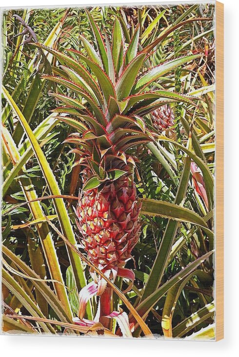 Pineapple Wood Print featuring the photograph Pineapple by Gini Moore
