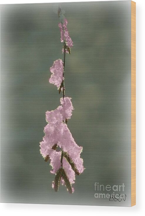 Ice Wood Print featuring the photograph Pink Ice by Barbara S Nickerson