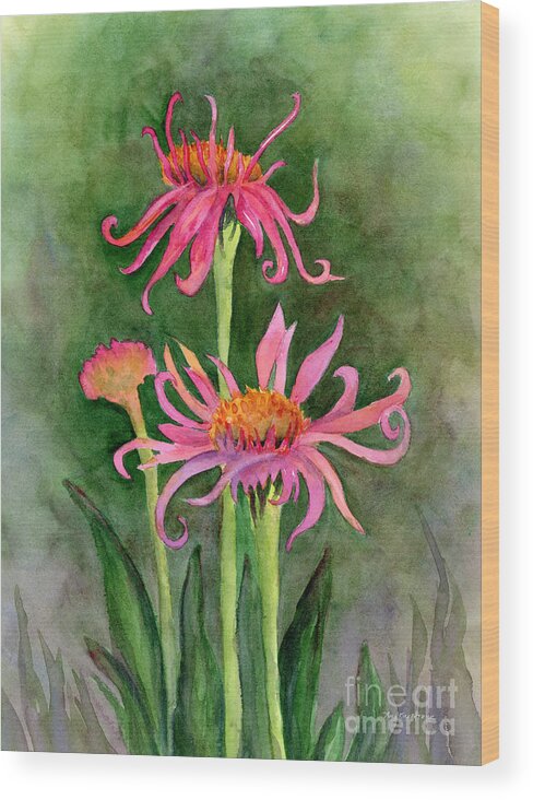 Coneflower Wood Print featuring the painting Pink Tutus - Coneflowers by Amy Kirkpatrick