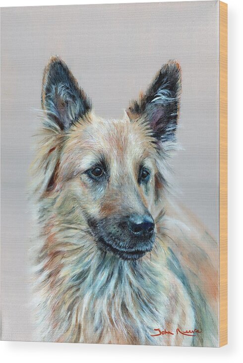 German Shepherd Wood Print featuring the painting Portrait of Sasha by John Neeve