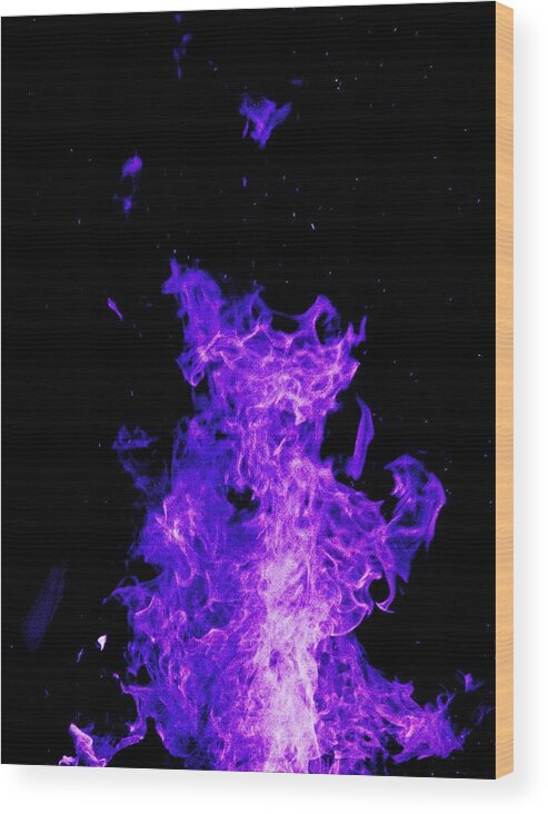 Uther Wood Print featuring the photograph Purple Dog Dragon by Uther Pendraggin