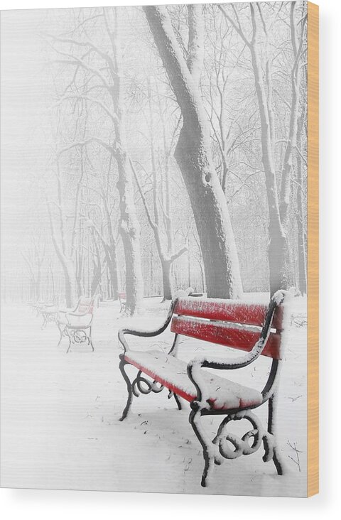 Beautiful Wood Print featuring the photograph Red bench in the snow by Jaroslaw Grudzinski