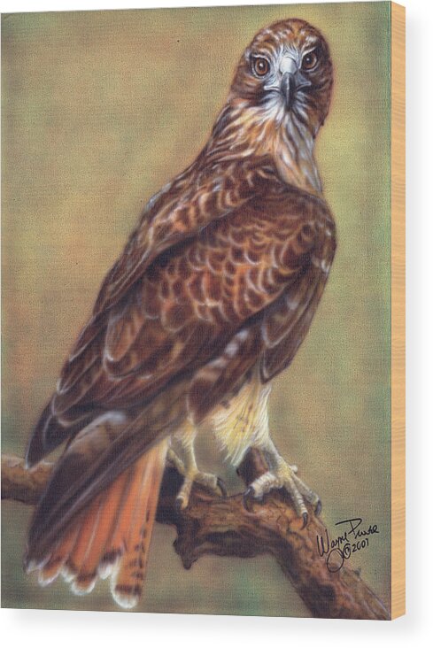  Wood Print featuring the painting Red Tailed Hawk by Wayne Pruse