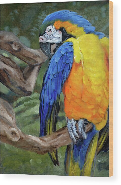 Acrylic Wood Print featuring the painting Safari Parrot by Christopher Reid