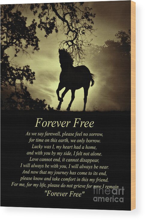 Horse Wood Print featuring the photograph Sepia Forever Free Spiritual Poem with Horse by Stephanie Laird