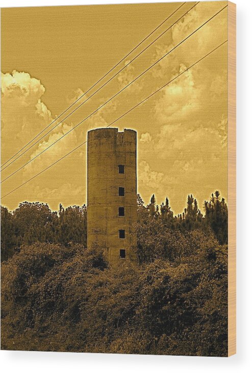 Photograph Wood Print featuring the photograph Silo II by Stephen Hawks