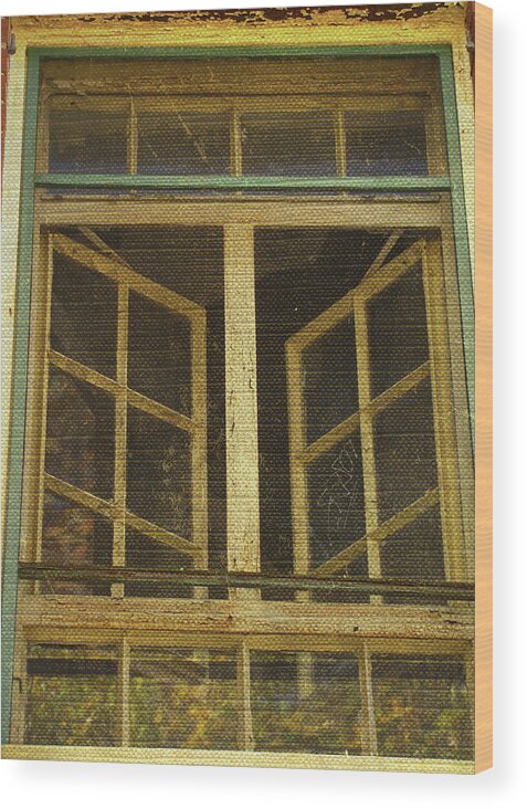 Old Window Wood Print featuring the photograph Some Kind of Revelation by Char Szabo-Perricelli