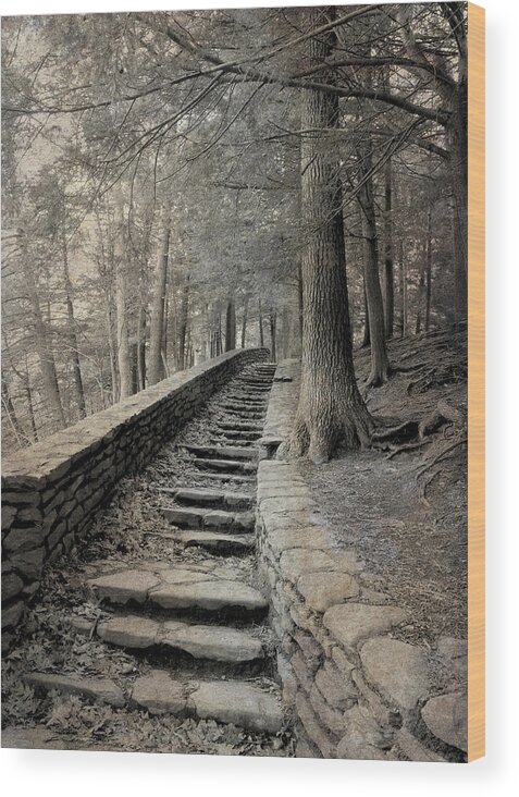 Trees Wood Print featuring the photograph Some Other Now, Some Other When 3 by Char Szabo-Perricelli