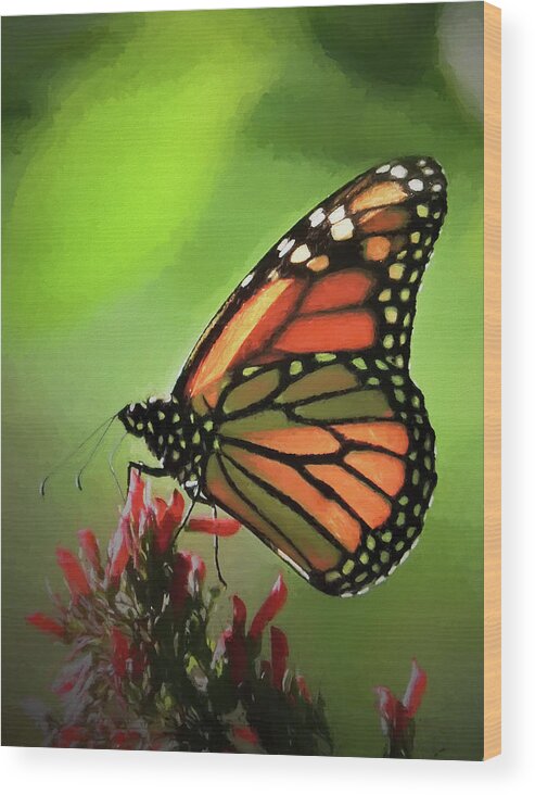 Antennae Wood Print featuring the photograph Stained Glass Butterfly by Penny Lisowski