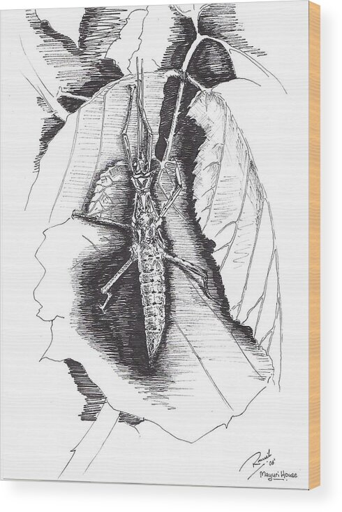 Bugs Wood Print featuring the drawing Stick by Ramiliano Guerra