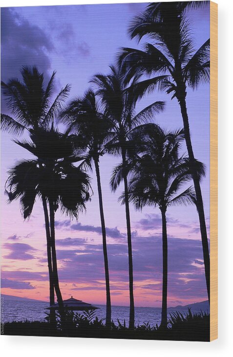 Palm Trees Wood Print featuring the photograph Sunset on the Palms by Debbie Karnes