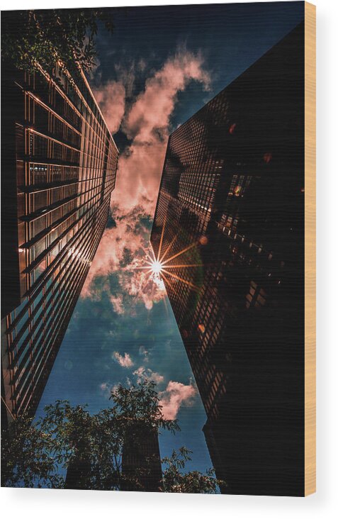 Chicago Wood Print featuring the photograph Tall Buildings by Lev Kaytsner
