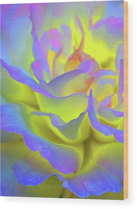 Roses Wood Print featuring the photograph The Answer by The Art Of Marilyn Ridoutt-Greene