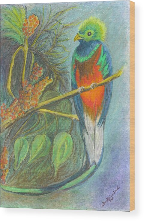 Bird Wood Print featuring the drawing The Resplendent Quetzal Bird by Carol Wisniewski