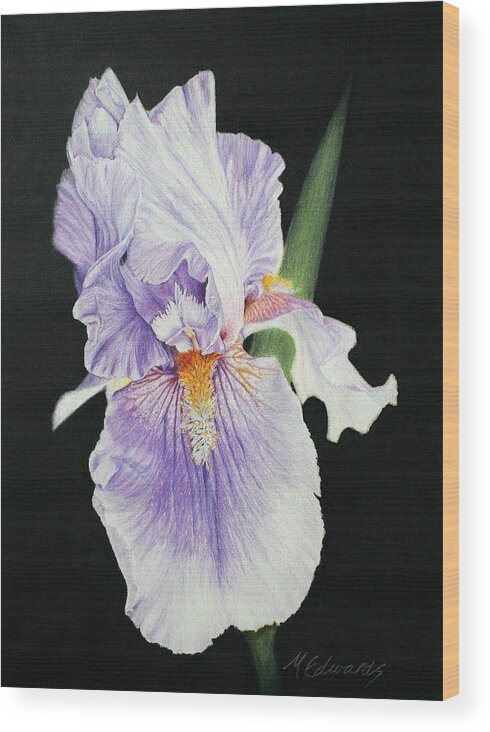 Iris Wood Print featuring the drawing Tonto Basin Iris by Marna Edwards Flavell