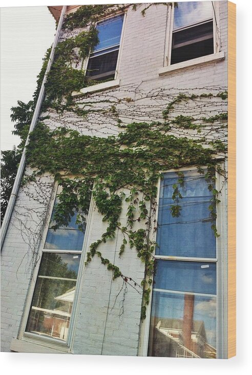 Vines Building Wood Print featuring the photograph Trapped by Annie Walczyk