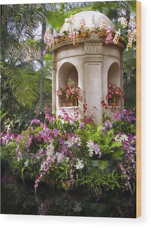 Orchids Wood Print featuring the photograph Tropical Orchids by Jessica Jenney