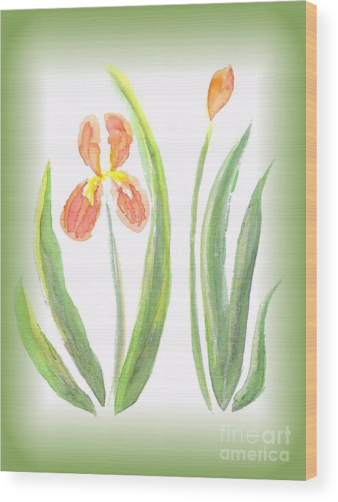 Art Wood Print featuring the painting Two Orange Iris green frame by Delynn Addams