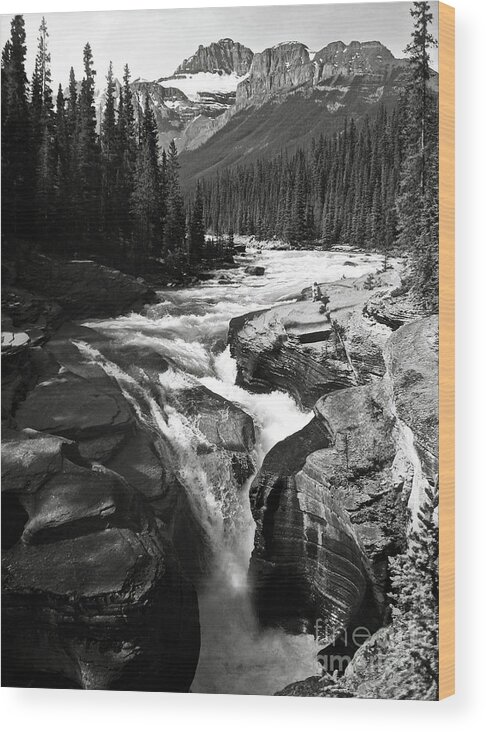Bw Wood Print featuring the photograph Waterfall in Banff National Park BW by RicardMN Photography