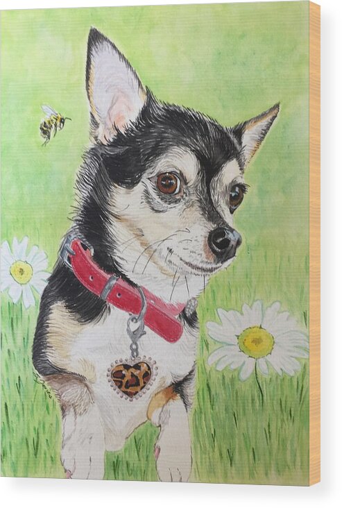 Chihuahua Wood Print featuring the painting What's the Buzz? by Sonja Jones