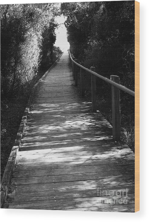 Path Wood Print featuring the photograph Widow Walk by Leslie Revels