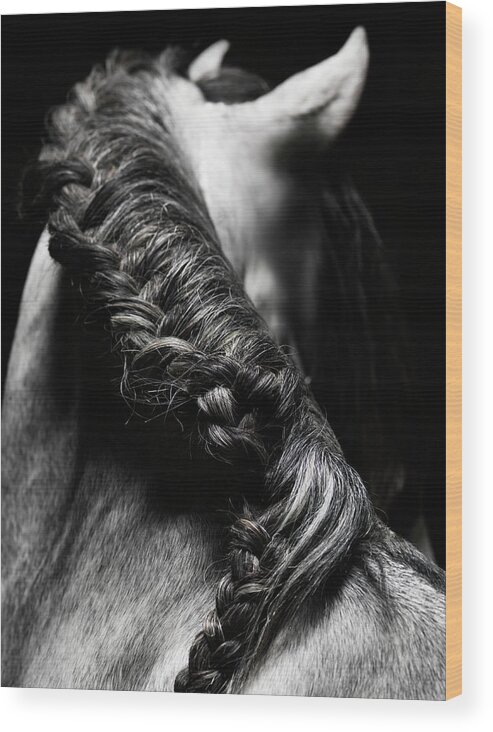 Horse Wood Print featuring the photograph Braided Mane Of Grey Horse #1 by Henrik Sorensen