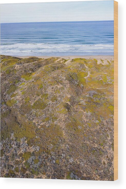 Landscapeaerial Wood Print featuring the photograph The Pacific Ocean Washes #21 by Ethan Daniels