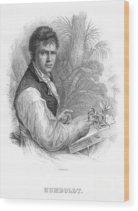 Engraving Wood Print featuring the drawing Alexander Von Humboldt, German by Print Collector