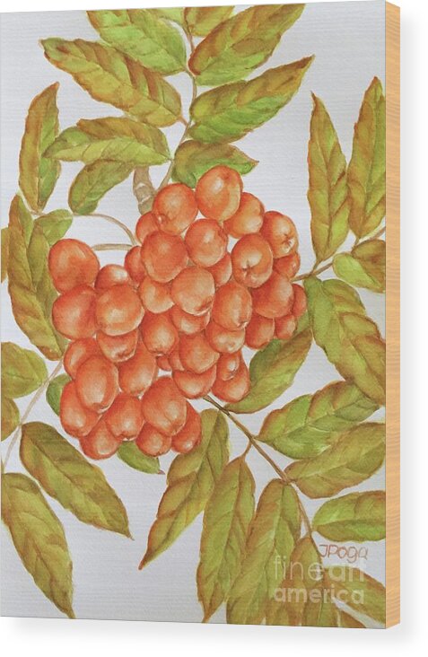 Fall Wood Print featuring the painting Ashberries by Inese Poga