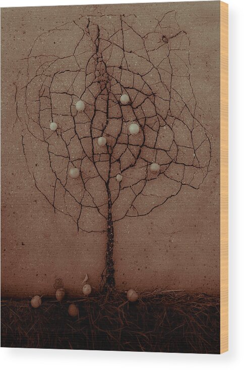 Tree Wood Print featuring the photograph Asphalt Tree In The Autumn by Rasto Gallo