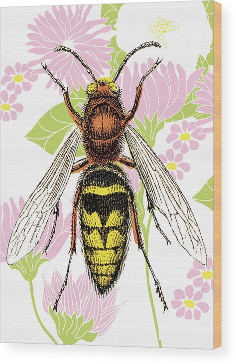 Animal Wood Print featuring the drawing Bee on Flower Wallpaper by CSA Images