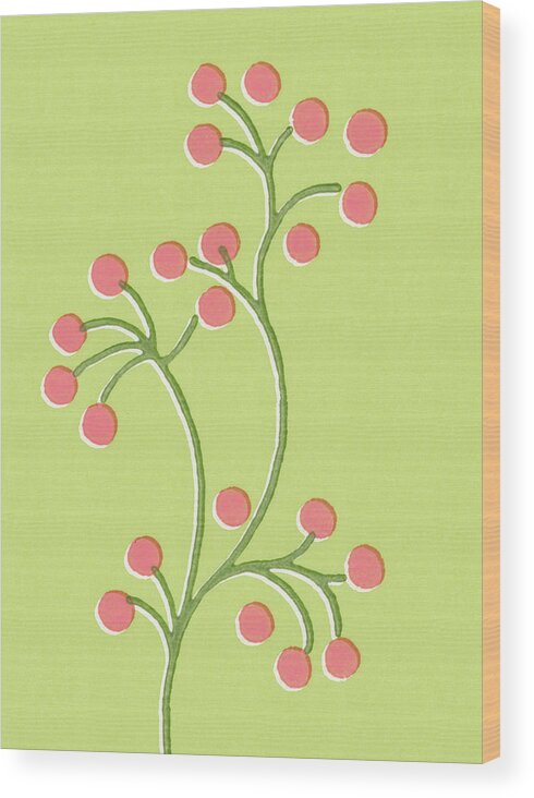 Berry Wood Print featuring the drawing Berries on Branches by CSA Images