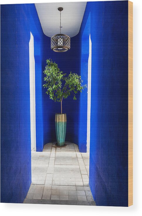 Plant Wood Print featuring the photograph Blue And Plant by Ali Abu Ras