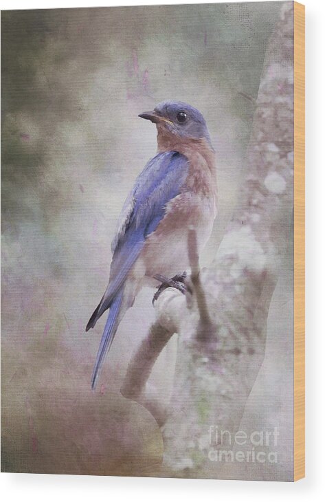Bluebird Wood Print featuring the photograph Bluebird in Dahlia Dreams by Michelle Tinger
