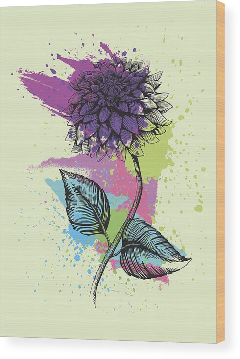 Engraving Wood Print featuring the digital art Dahlia by Mecaleha