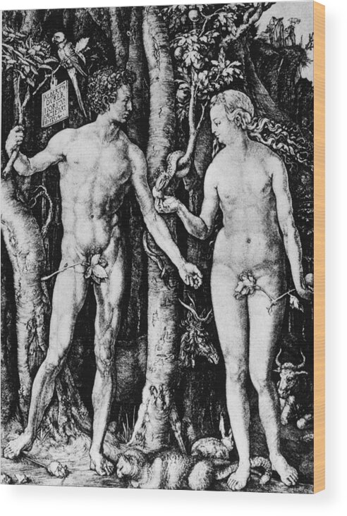 Engraving Wood Print featuring the photograph Engraving Of Adam And Eve by Hulton Archive