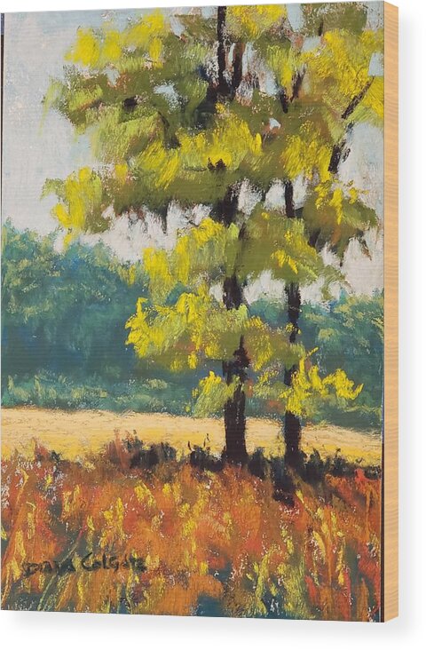 Trees Wood Print featuring the pastel Fall Explosion by Diana Colgate