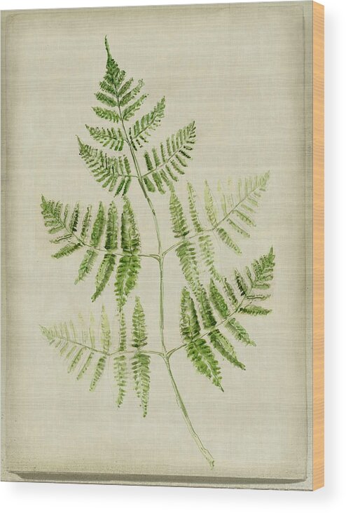 Fern 4 Wood Print featuring the mixed media Fern 4 by Symposium Design