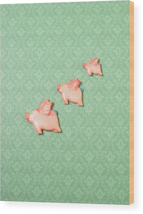 Disbelief Wood Print featuring the photograph Flying Pig Ornaments On Wallpapered by Peter Dazeley