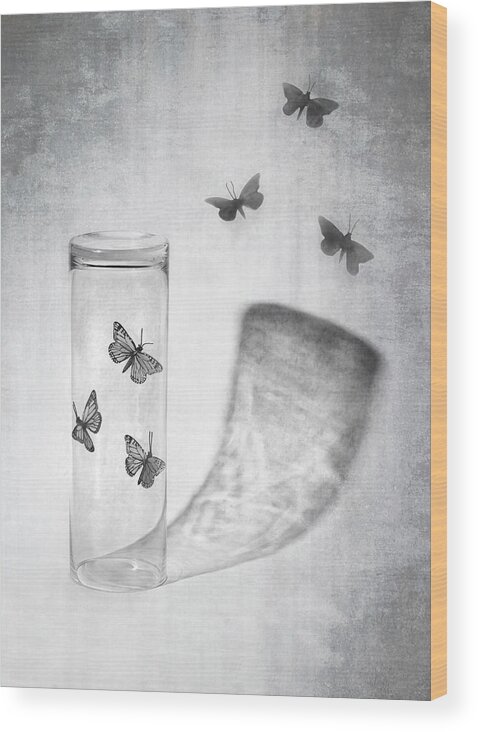 Butterfly Wood Print featuring the photograph Freedom by Louis-philippe Provost