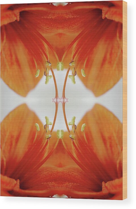 Tranquility Wood Print featuring the photograph Inside An Amaryllis Flower by Silvia Otte