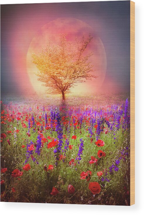 Appalachia Wood Print featuring the photograph Magical Moon in the Poppies by Debra and Dave Vanderlaan