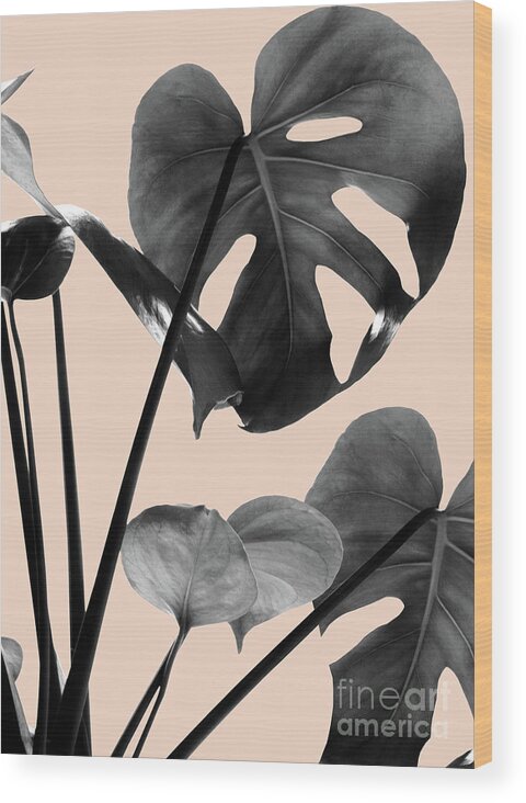 Black-and-white Wood Print featuring the mixed media Monstera Vibes #3 #minimal #decor #art by Anitas and Bellas Art