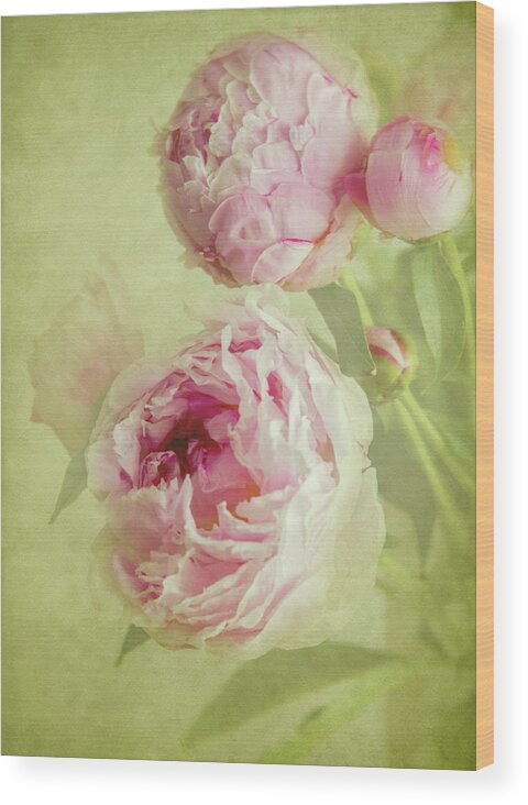 Wall Art Wood Print featuring the photograph Peonies by Diane Fifield