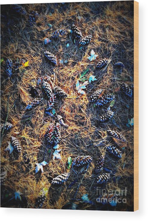 Nature Wood Print featuring the photograph Pine Cones Morning Sunlight by Frank J Casella